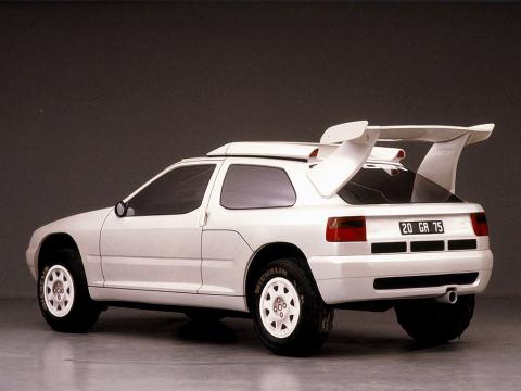 zx_rallye_raid_prototype_1990_3quartsar.jpg